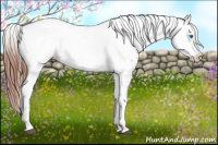 Horse Color:Liver Chestnut Frame 