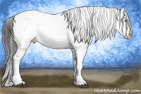 Horse Color:Black Frame 