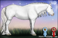 Horse Color:Chocolate Palomino Pearl Frame Appaloosa 