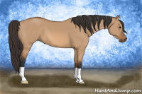 Horse Color:Bay Dun