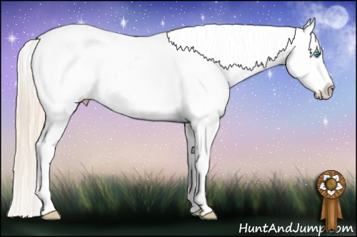 Horse Color: Perlino Roan Sabino Varnish 