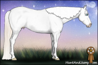 Horse Color:Perlino Roan Sabino Varnish 