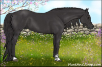 Horse Color:Smoky Black Sabino