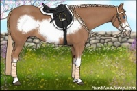 Horse Color:Red Roan Frame 