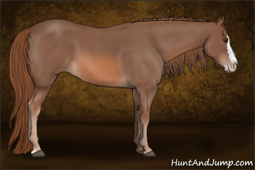 Horse Color: Red Roan Splash 