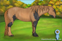 Horse Color:Black  Brindle