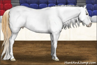 Horse Color:Buckskin Dun Appaloosa