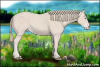 Horse Color:Smoky Creme 