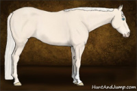Horse Color:Cremello 