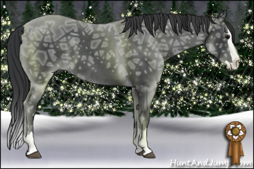 Horse Color: Black Ice Splash 