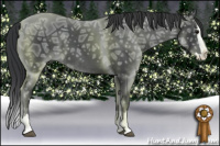 Horse Color:Black Ice Splash 