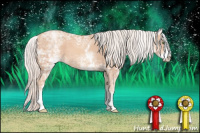 Horse Color:White Spotted Silver Classic Champagne Ice Sabino Splash 