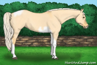 Horse Color:Palomino Dun Tobiano Frame