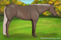 Horse Color:Silver Black 
