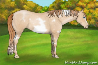 Horse Color:White Spotted Smoky Black Pearl Frame Rabicano