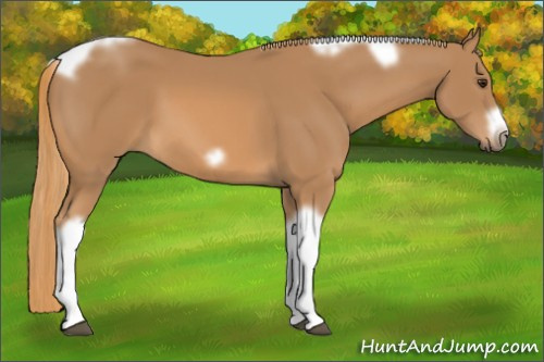 Horse Color: Chestnut Tobiano Frame 