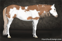 Horse Color:White Spotted Liver Chestnut Splash Frame