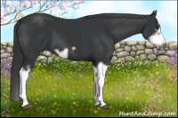 Horse Color:Black Splash Frame