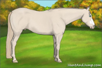 Horse Color:Smoky Creme 