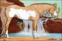 Horse Color:Chocolate Palomino Roan Frame