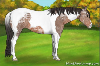Horse Color:Bay Ice Tobiano 