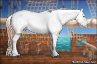 Horse Color:Brown Pearl Appaloosa 