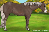 Horse Color:Silver Black Sabino 