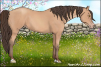 Horse Color:Amber Champagne 
