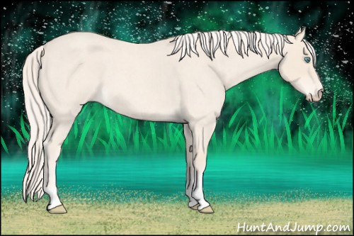 Horse Color: Cremello Roan Tobiano 