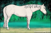 Horse Color:Cremello Roan Tobiano 