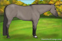 Horse Color:Smoky Grullo Roan 