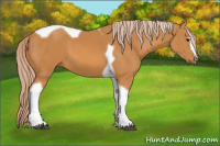 Horse Color:Palomino Sabino Tobiano 