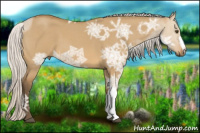 Horse Color:Silver Buckskin Ice Roan Dun 