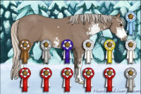 Horse Color:Silver Brown Sabino 