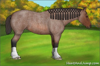 Horse Color:Bay Roan 