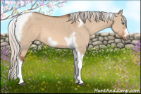 Horse Color:Silver Bay Dun Tobiano Frame