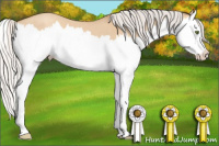 Horse Color:Silver Classic Champagne Dun Splash 