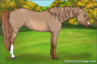 Horse Color:Liver Red Dun 