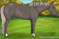 Horse Color:Silver Black 