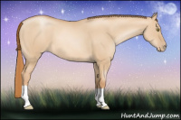 Horse Color:Red Dun Pearl 
