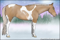 Horse Color:Gray Silver Smoky Black Pearl Tobiano 