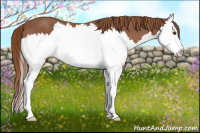 Horse Color:Liver Chestnut Sabino Splash 