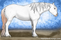 Horse Color:White Spotted Sable Champagne Roan Splash Frame Appaloosa 