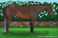 Horse Color:Brown 