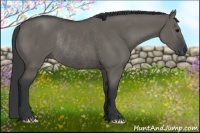 Horse Color:Grullo Rabicano 