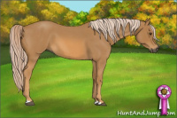 Horse Color:Gray Palomino Roan 