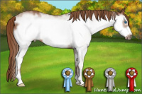 Horse Color:White Spotted Liver Chestnut Frame
