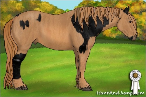 Horse Color: ERROR: UNKNOWN ANOMALY Brindle