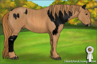 Horse Color:ERROR: UNKNOWN ANOMALY Brindle
