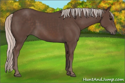 Horse Color:Silver Black